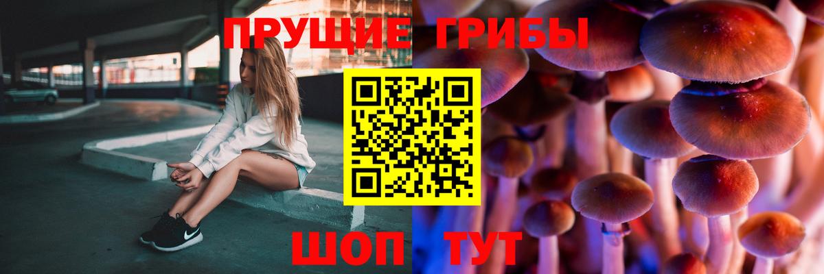 Галлюциногенные грибы мицелий  сколько стоит  Вход с VPN  Белая Калитва  Галлюциногенные грибы прущие грибы 